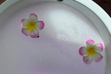 Pink Flamingos Nail Bar