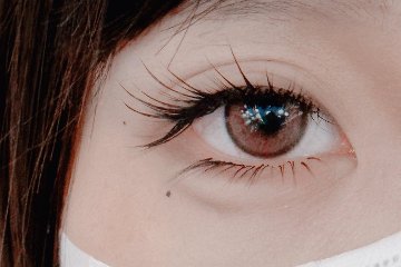 Lina Liu Lash&Brow Studio
