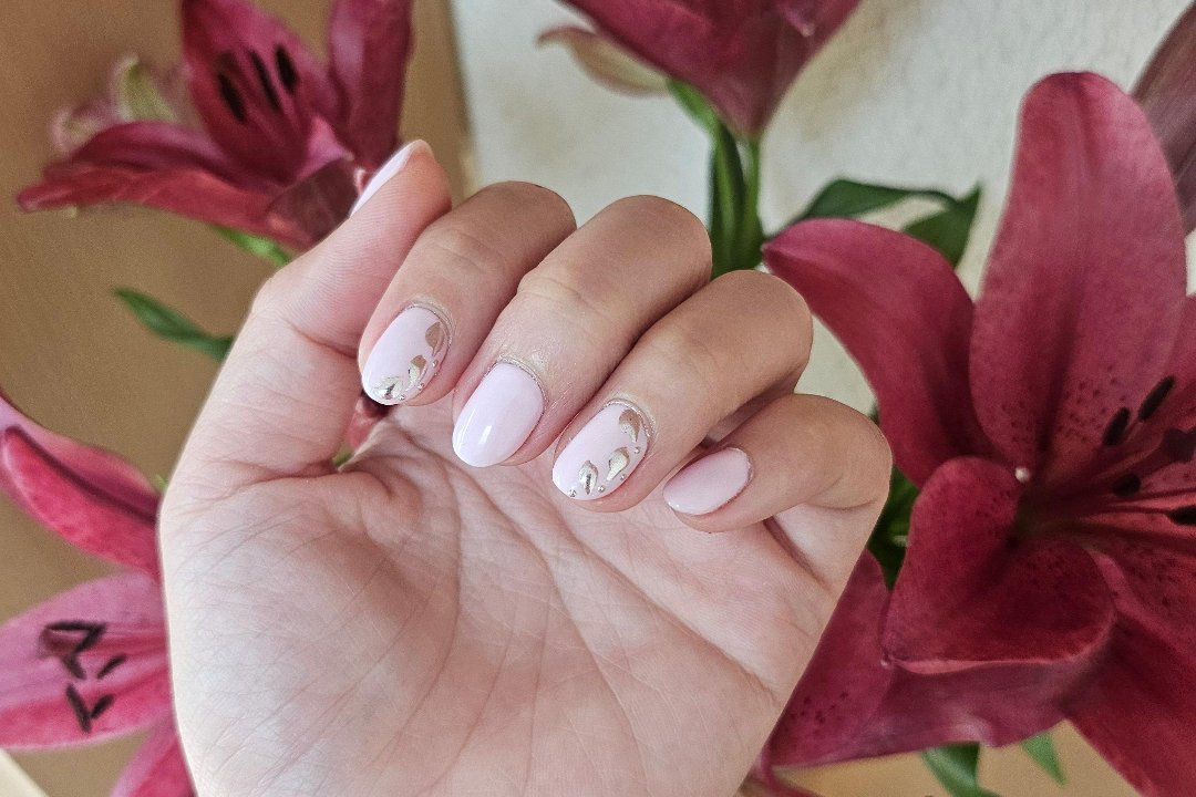 Dung Nails, De Nollen, Alkmaar