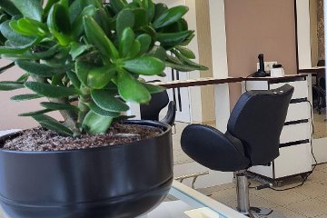 Zik Zak hair