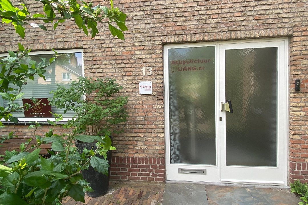 Acupunctuur Liang, Wandelboslaan, Tilburg
