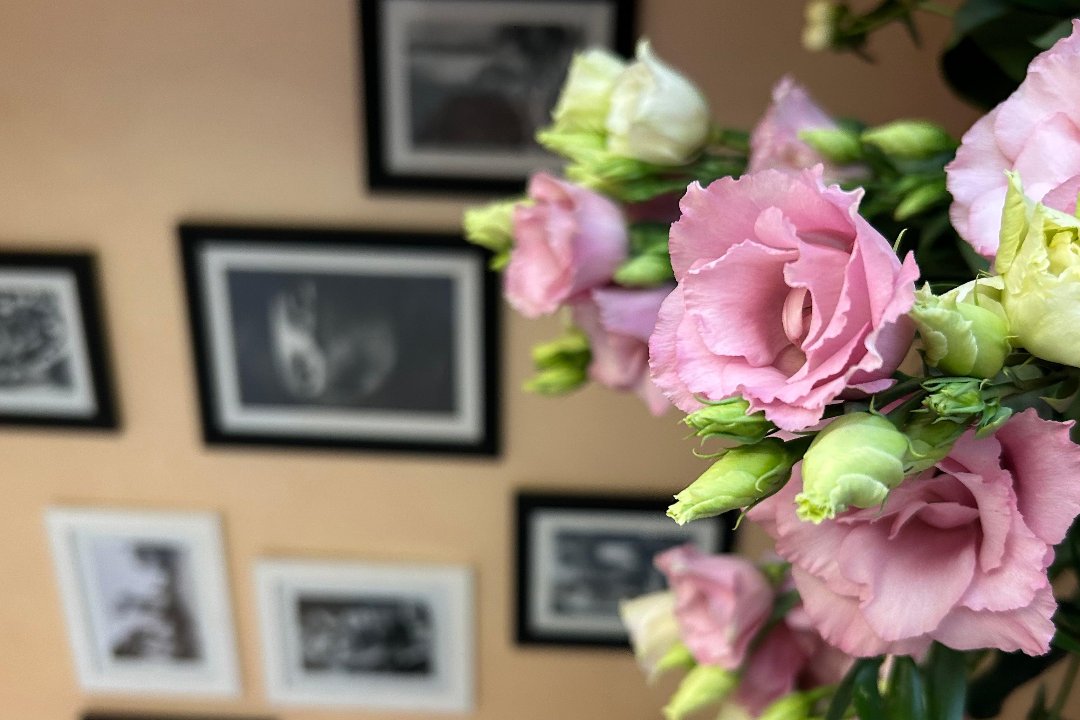 Hammam Sansauna, San Salvario, Torino