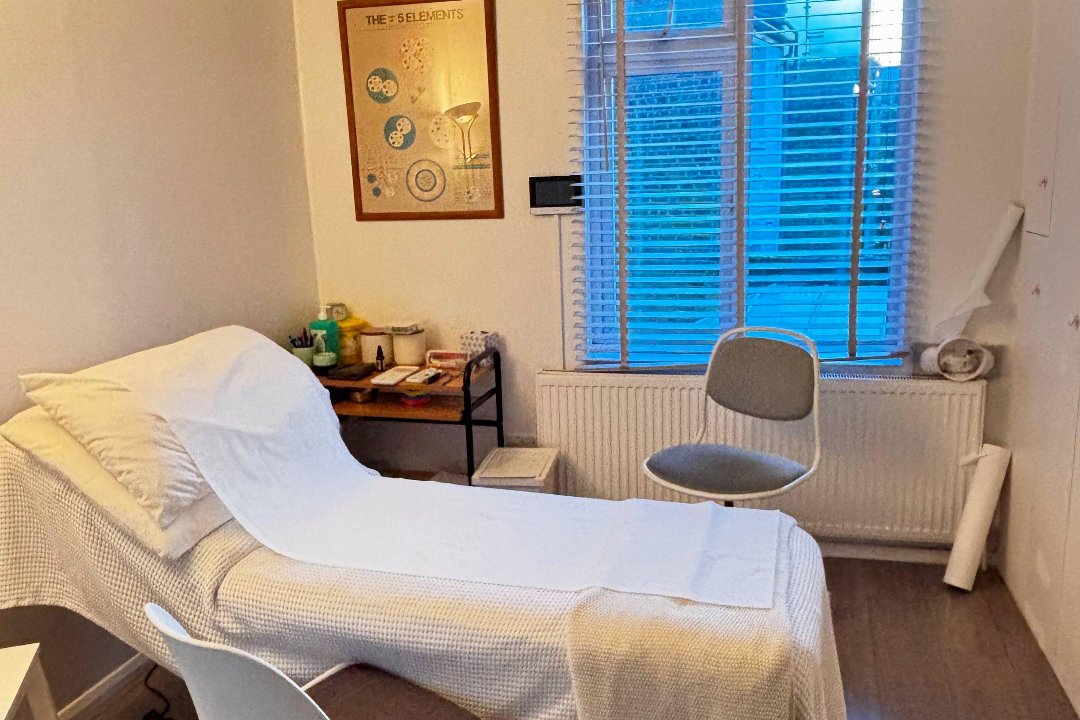 Bonnie Delaney Acupuncture, Wendell Park, London