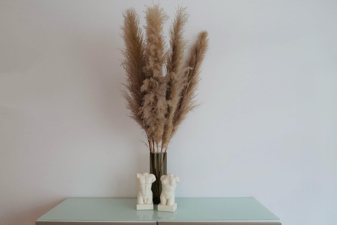 A | E aesthetics, Rotterdam Centrum, Rotterdam
