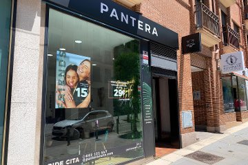 Pantera Móstoles