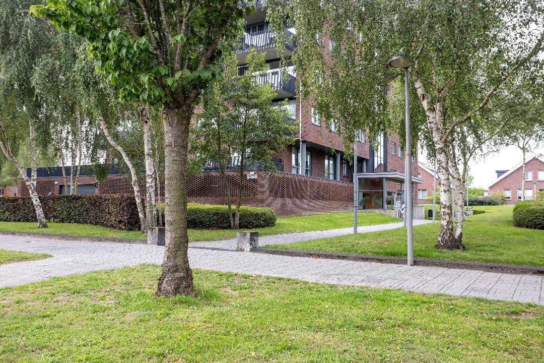 SHAÏSHQ, Leidschenveen, The Hague