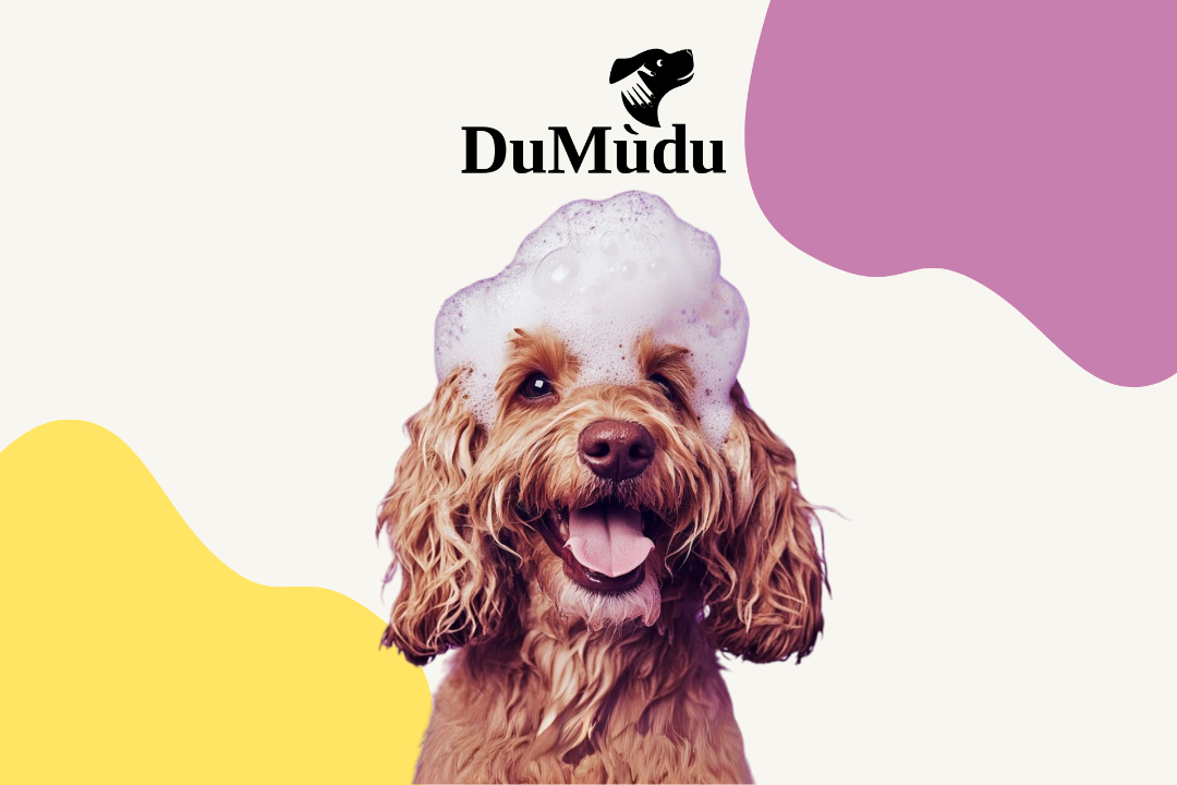 DuMùdu, Senamiestis, Vilnius