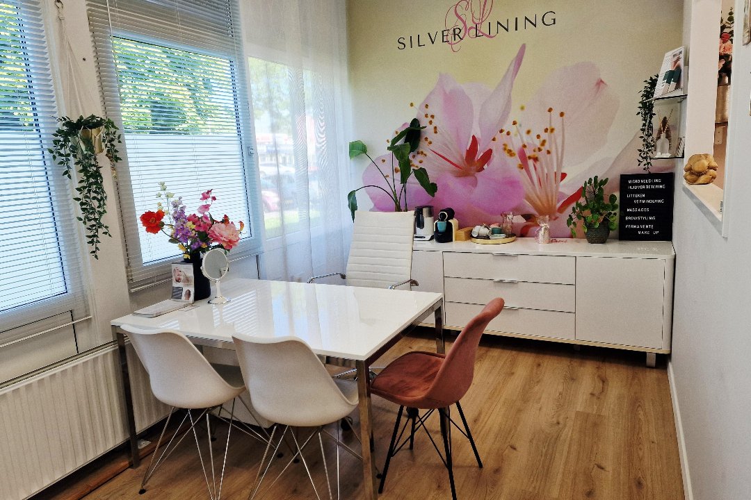 Silver Lining PMU, Bieslookstraat, Groningen