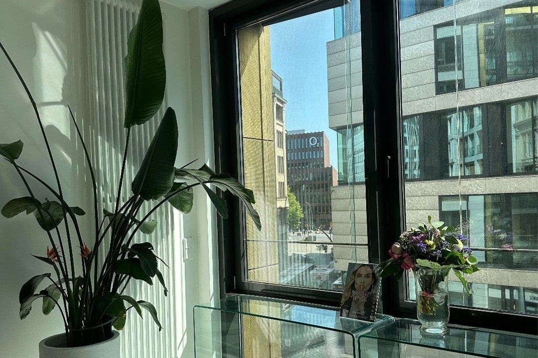 FZU Aesthetics, Innenstadt, Hamburg