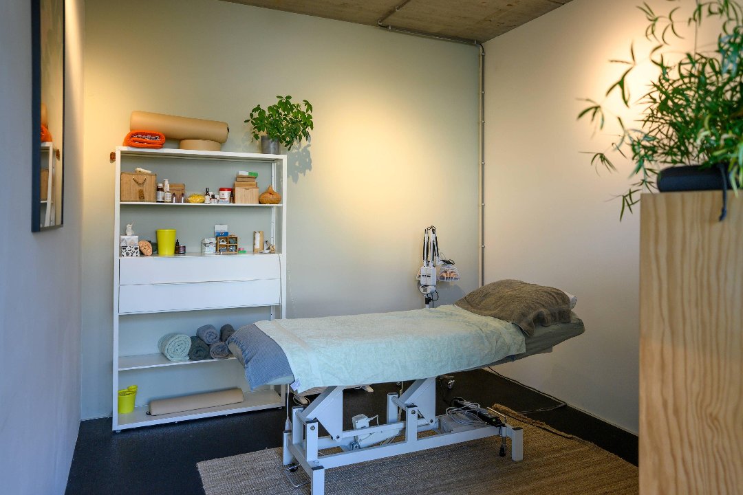 MerelHollestelle acupunctuur, Haarlemmerdijk, Amsterdam