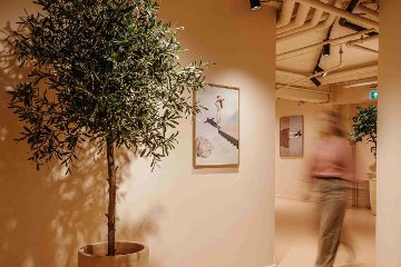 Dermathority Face & Body Care (Utrecht)