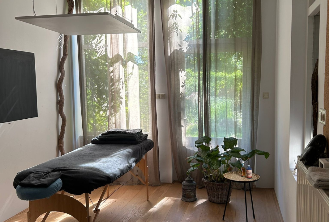 MerelHollestelle acupunctuur Doetinchem, Doetinchem, Gelderland