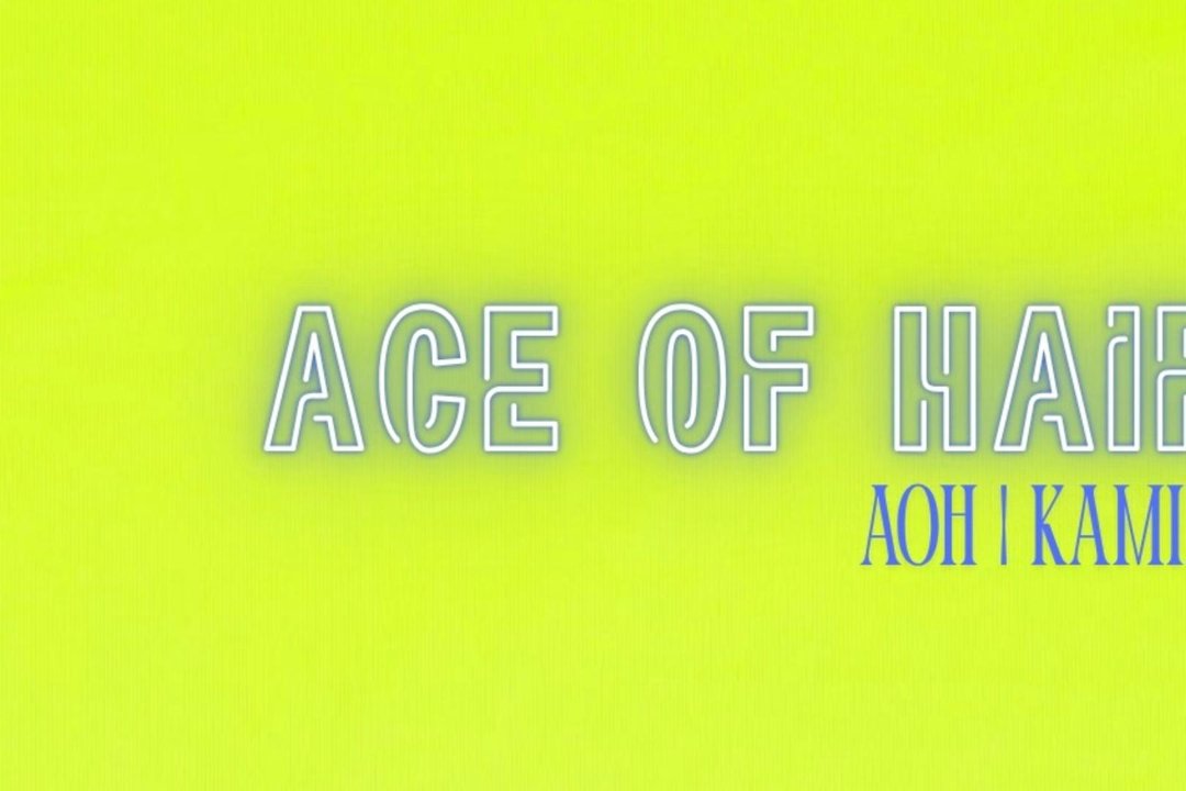 ACE OF HAIR., Agniesebuurt, Rotterdam