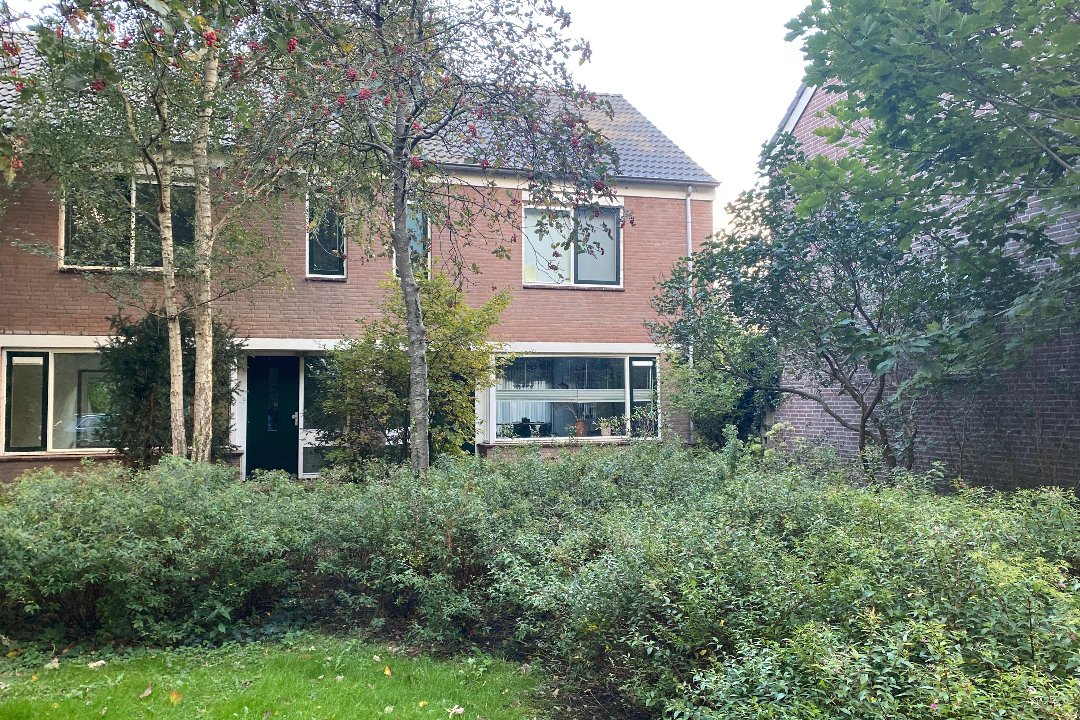 Healthy Glow, Bergermeer, Alkmaar