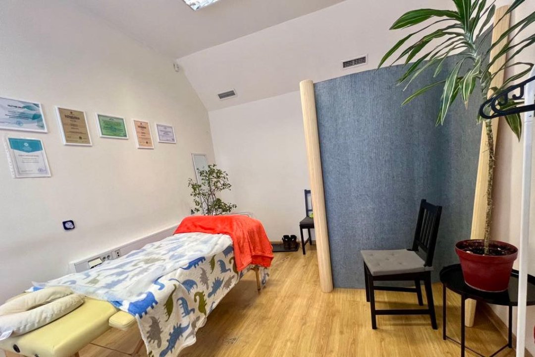 Professional Massage Studio, Šnipiškes, Vilnius