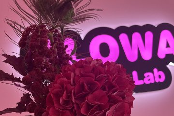 Glowa Beauty Lab