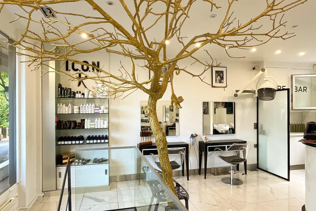 L'Arbre d'or beauté, Saint Cloud, Hauts-de-Seine