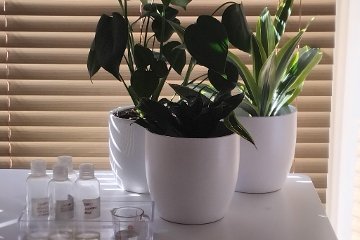 Homeostasis Spa - Home