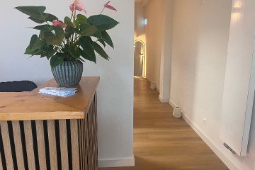 Brow Studio Anouk