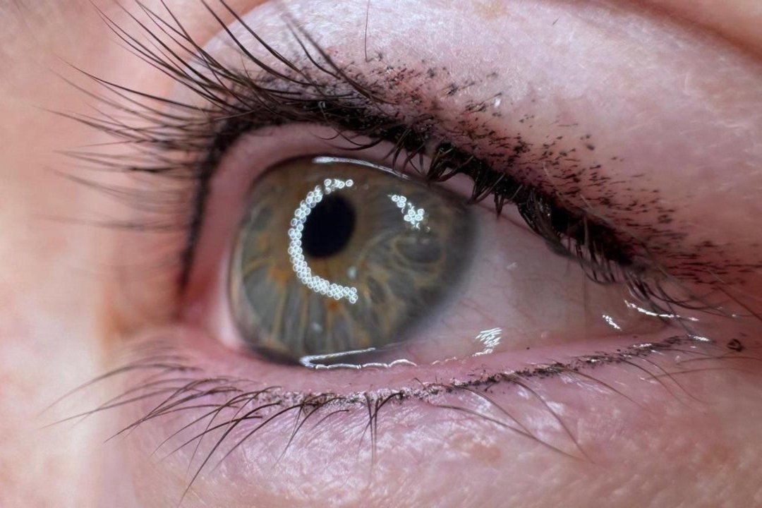 Navalon Estética, Madrid