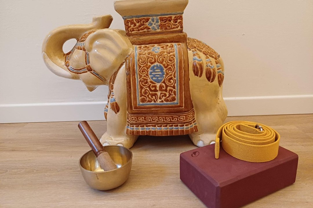 Nereide Yoga - Milano, Viale Montenero, Milano