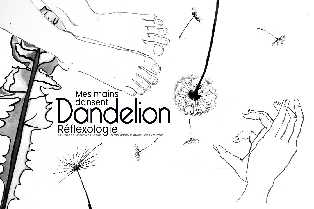 Dandelion Réflexologie cabinet Réaumur, Boulevard de Sébastopol, Paris