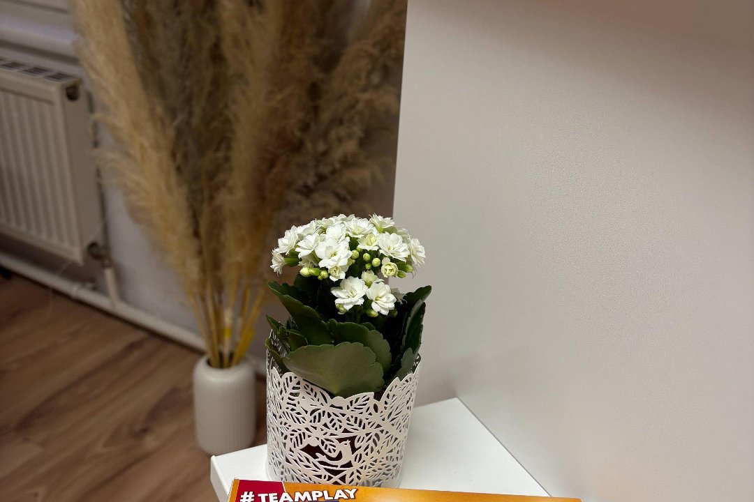 Guenesaesthetics, 19. Bezirk, Wien