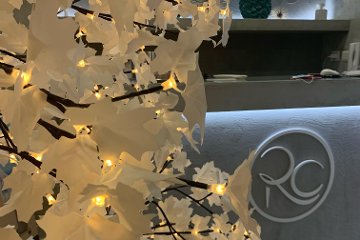 Ramona Cailean Maison