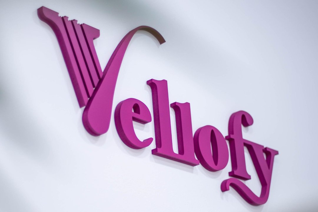Vellofy, El Camp d'en Serralta, Palma de Mallorca