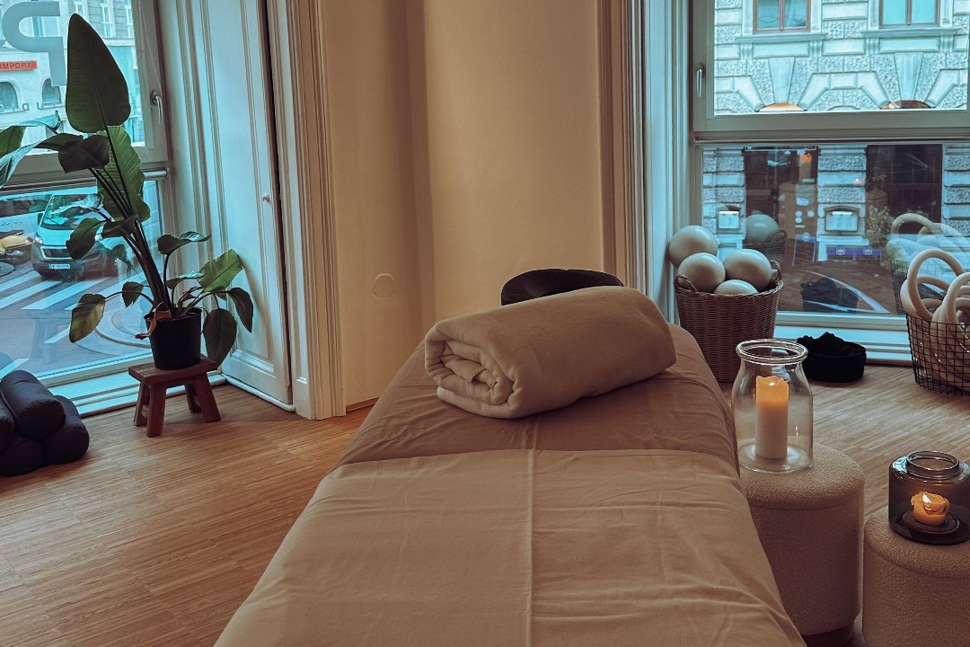 Holistic Biohacking OG, 1. Bezirk, Wien