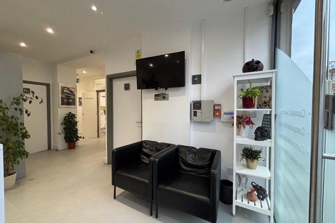 Blue Light Dental & Aesthetic Clinic, Tufnell Park, London