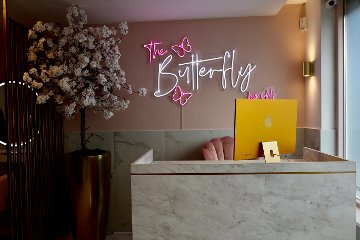 The Butterfly By Shl