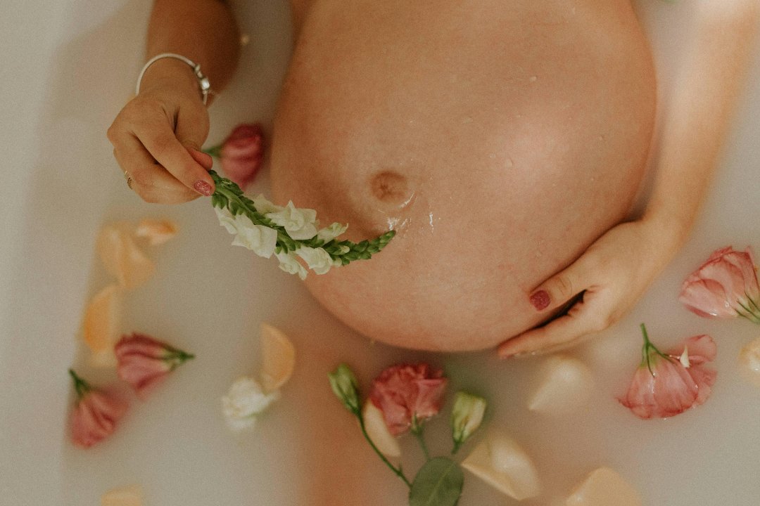 Thea.Rosa, Palaiseau, Essonne
