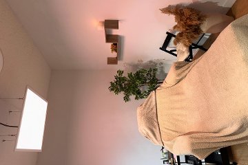 Serenity Tingles Co. 