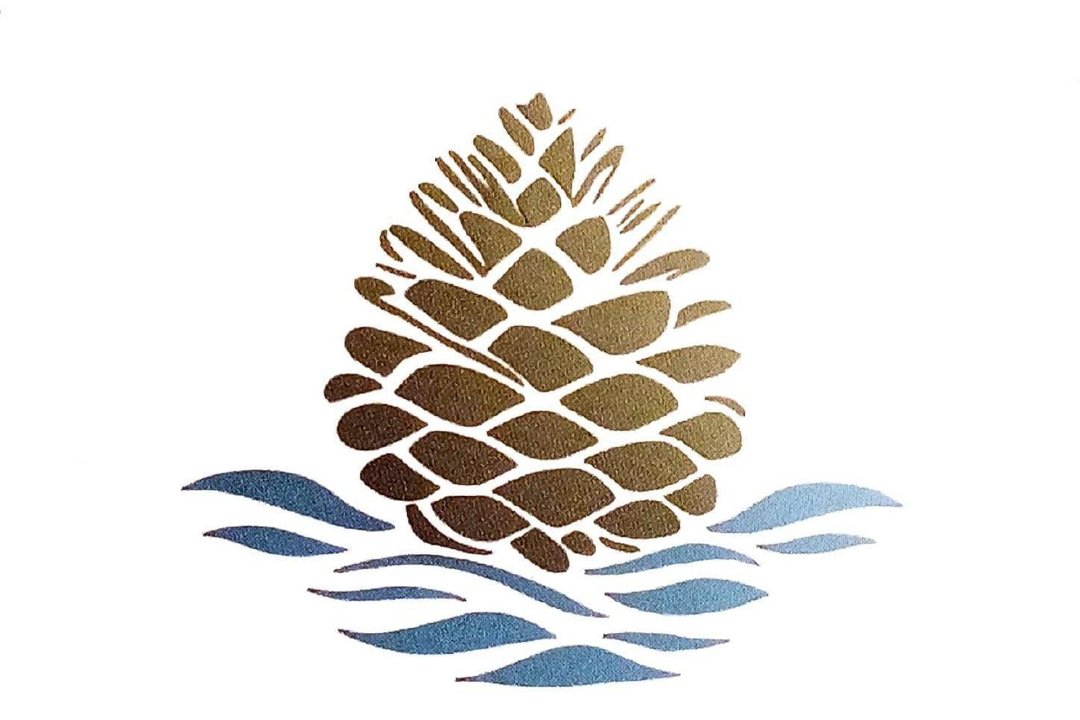 Zenya, Suresnes, Hauts-de-Seine