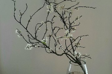 The Naturopathic Acupuncturist - Peckham