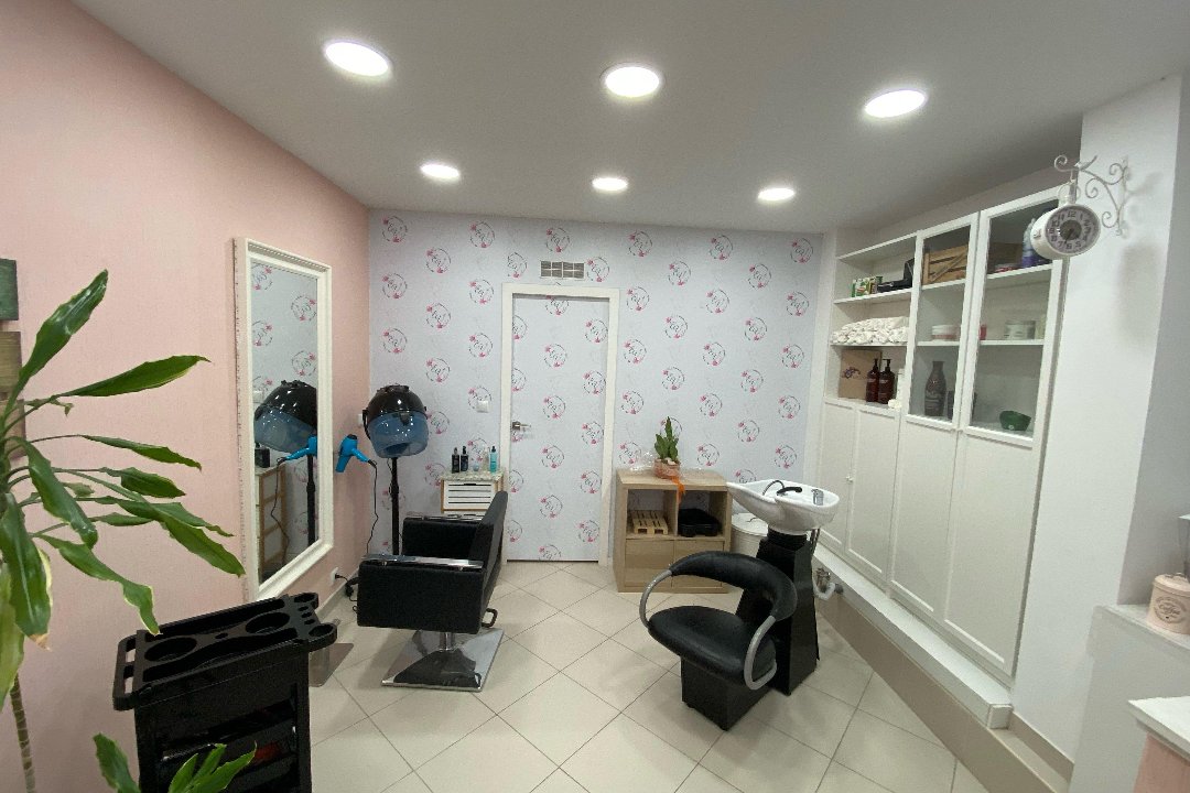 Viviane Fonseca, Amadora