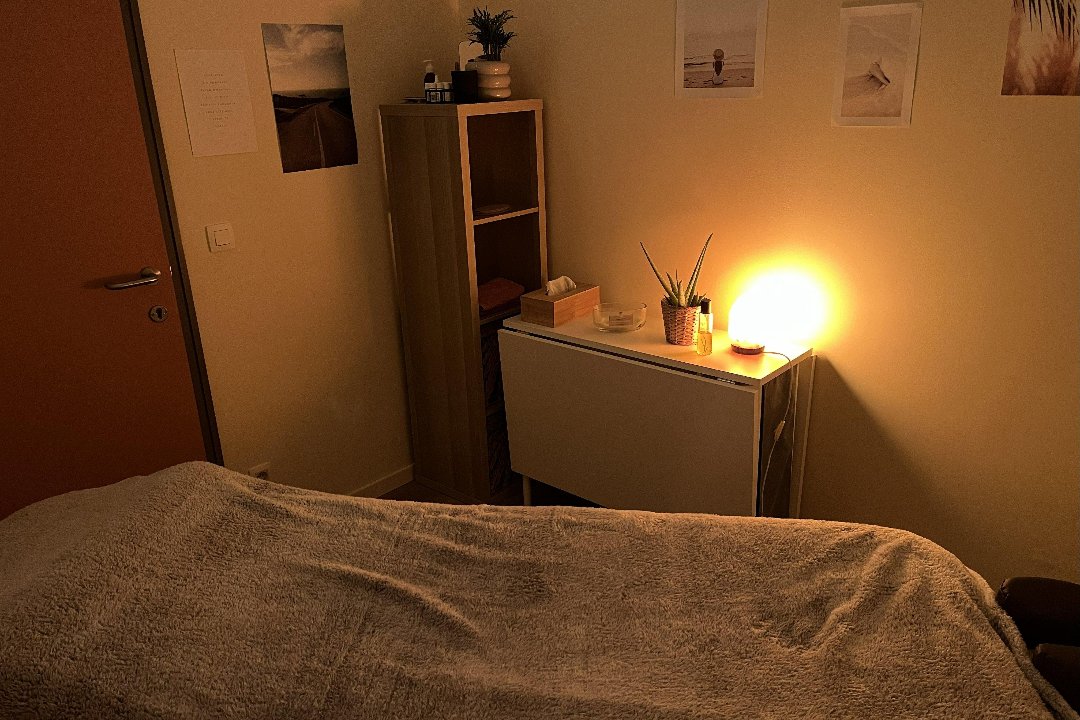 Geoffroy Ryelandt - kinésithérapie et massages, Chaussée de Wavre - Saint-Julien, Oudergem