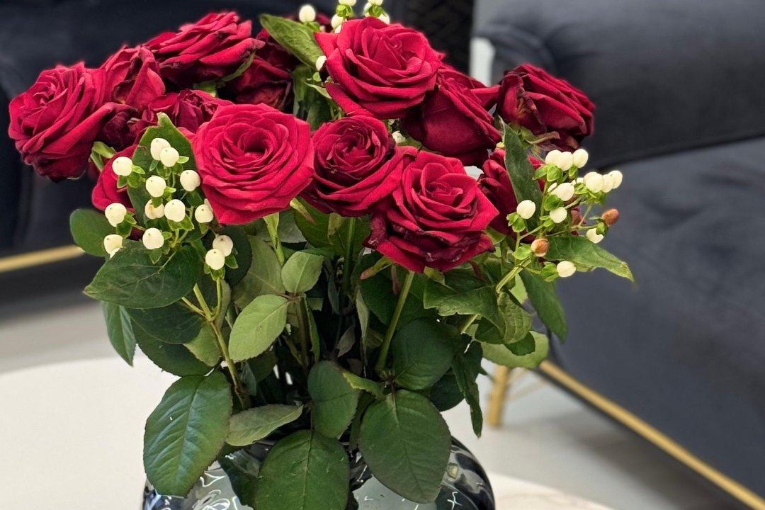 IRINA Lazerinė epiliacija, Sapiegos parkas, Vilnius