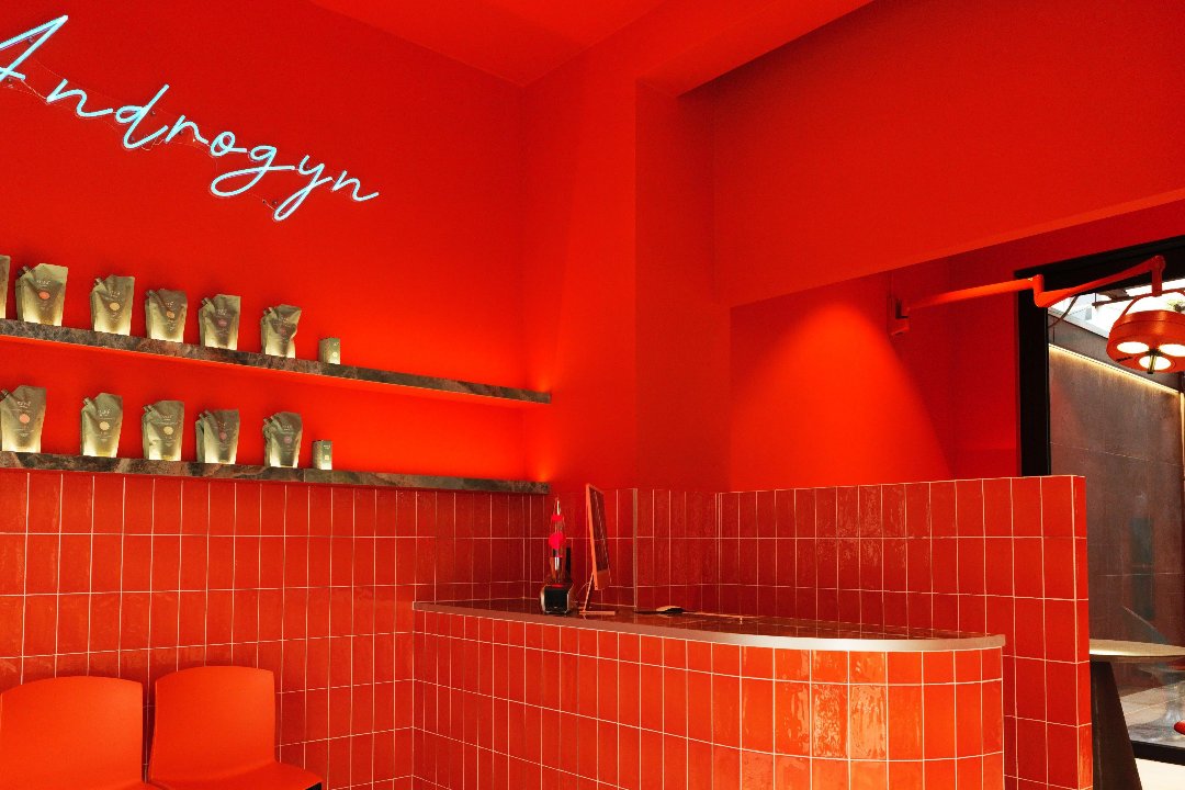 Androgyn, Schipperskwartier, Anvers