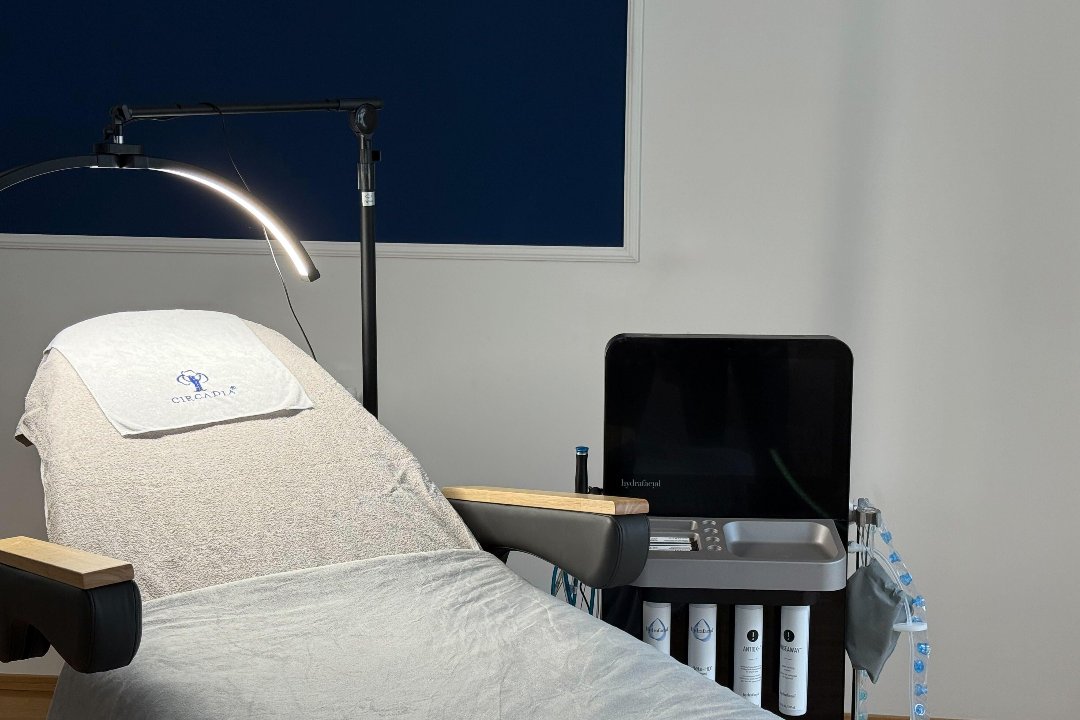 skindesa, Wiener Neustadt, Wien und Umland