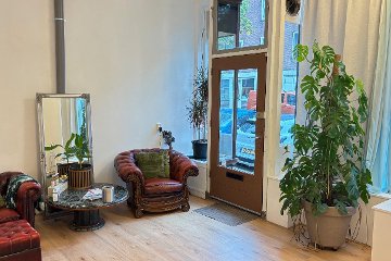 Z.A.I. Braid Solutions