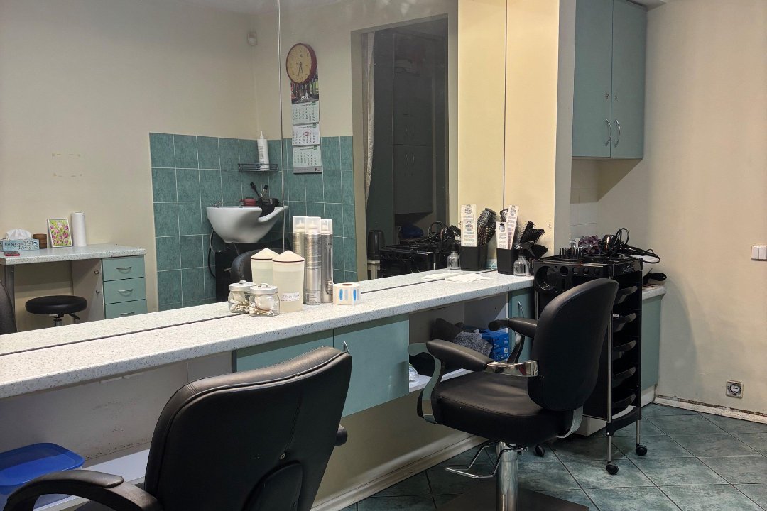 Bendra kirpėja Inna, Dainava, Kaunas