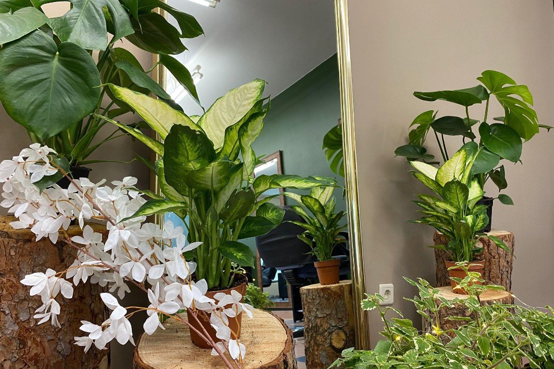 Salón Ritual de Gaia, Centro – Arroyo La Fuente, Comunidad de Madrid