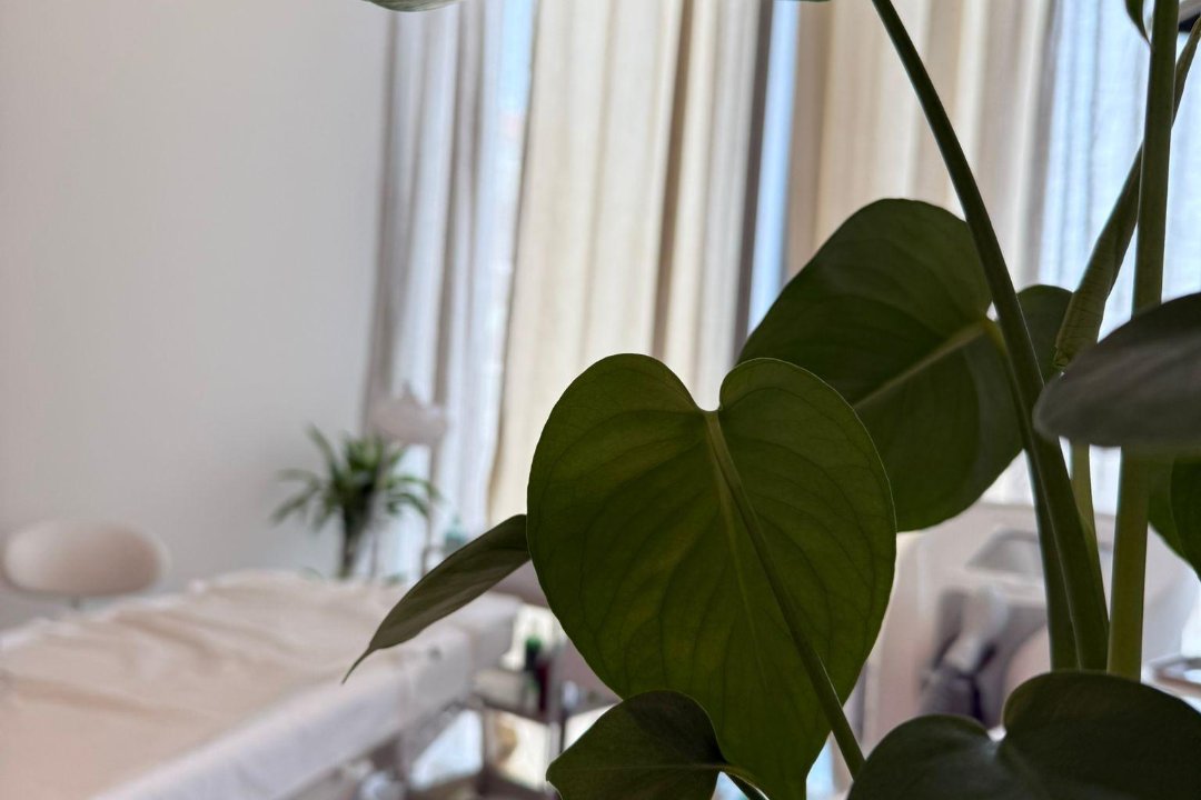 All Skins, Meyrin, Canton de Genève