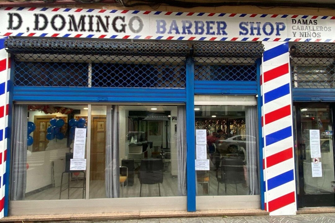 D Domingo Peluquería, León