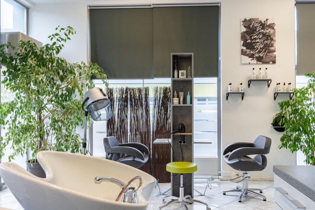 Art of Hair, Mödling, Wien und Umland