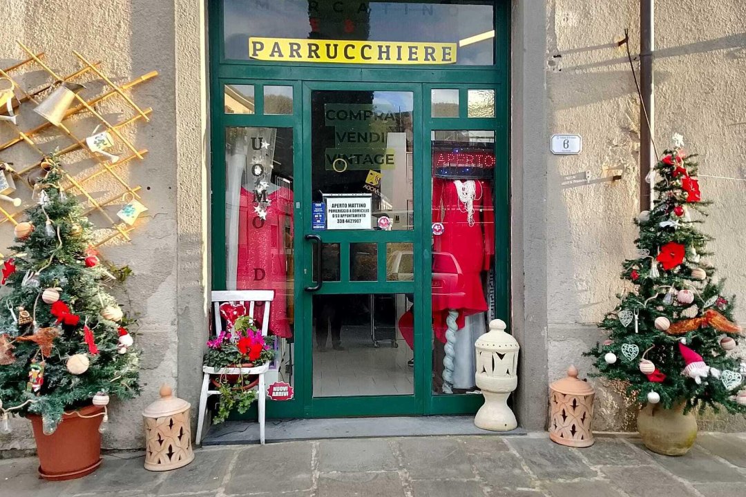 Colore&Fantasia, Carrara, Toscana