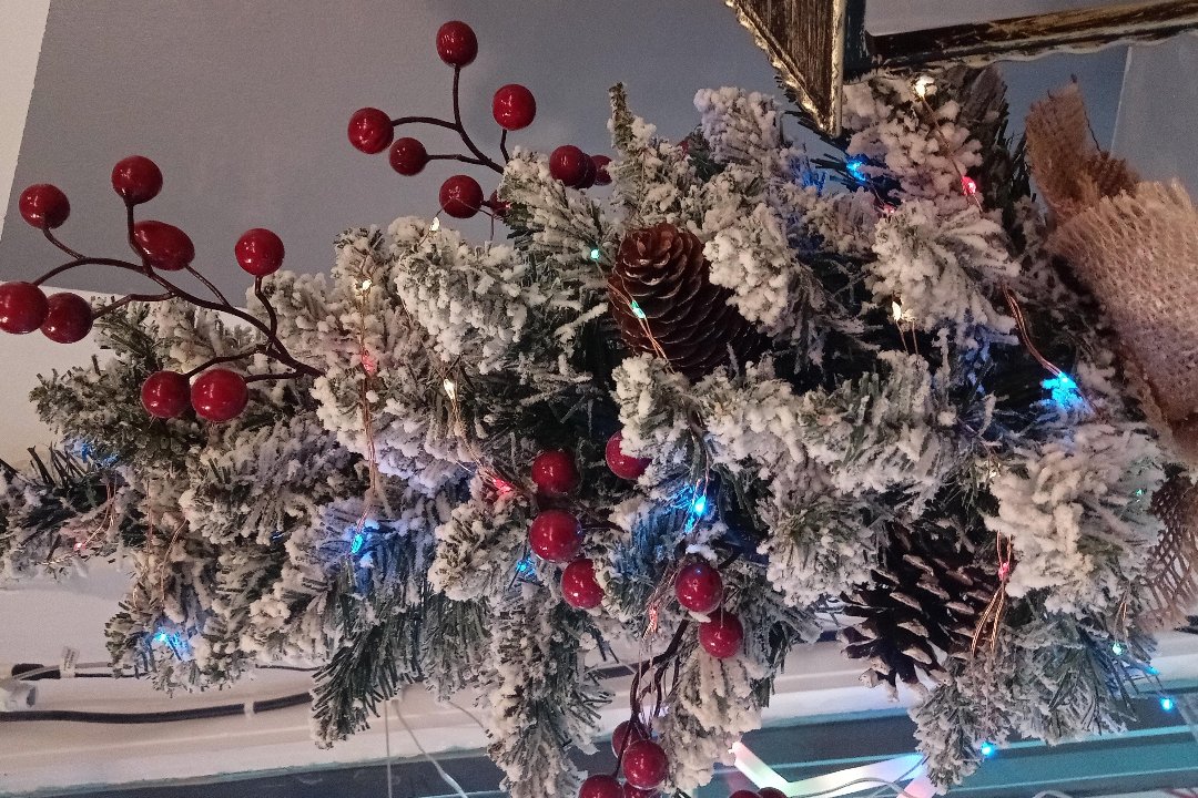 Lash & Brows, Newmarket, Suffolk