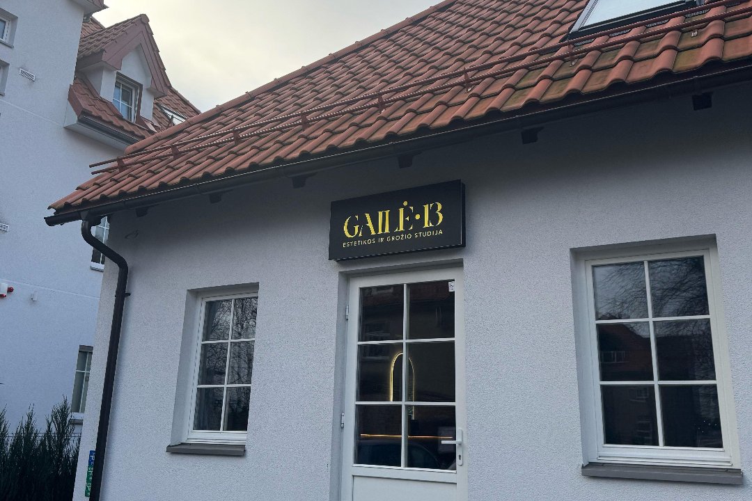 Kirpėja Modesta / Gaile13, Centras, Klaipeda